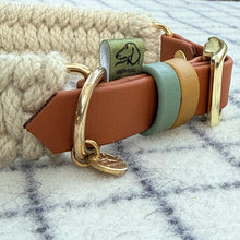 Sage green and gold 9mm BioThane keepers, brass D-ring and stamped Green Dog disc on the custom Dingley wool hybrid collar