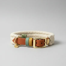 Custom Dingley hybrid dog collar in ecru British wool on a saddle brown 19mm BioThane strap, with sage green and gold collar keepers and solid brass hardware