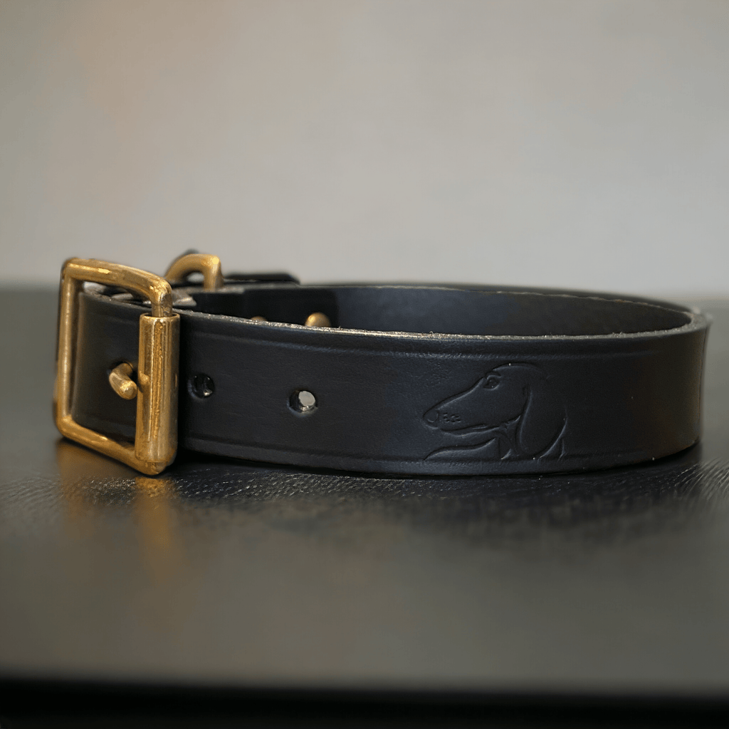 Luxury Classic Leather Dog Collar | Black or Chestnut Brown - Green Dog