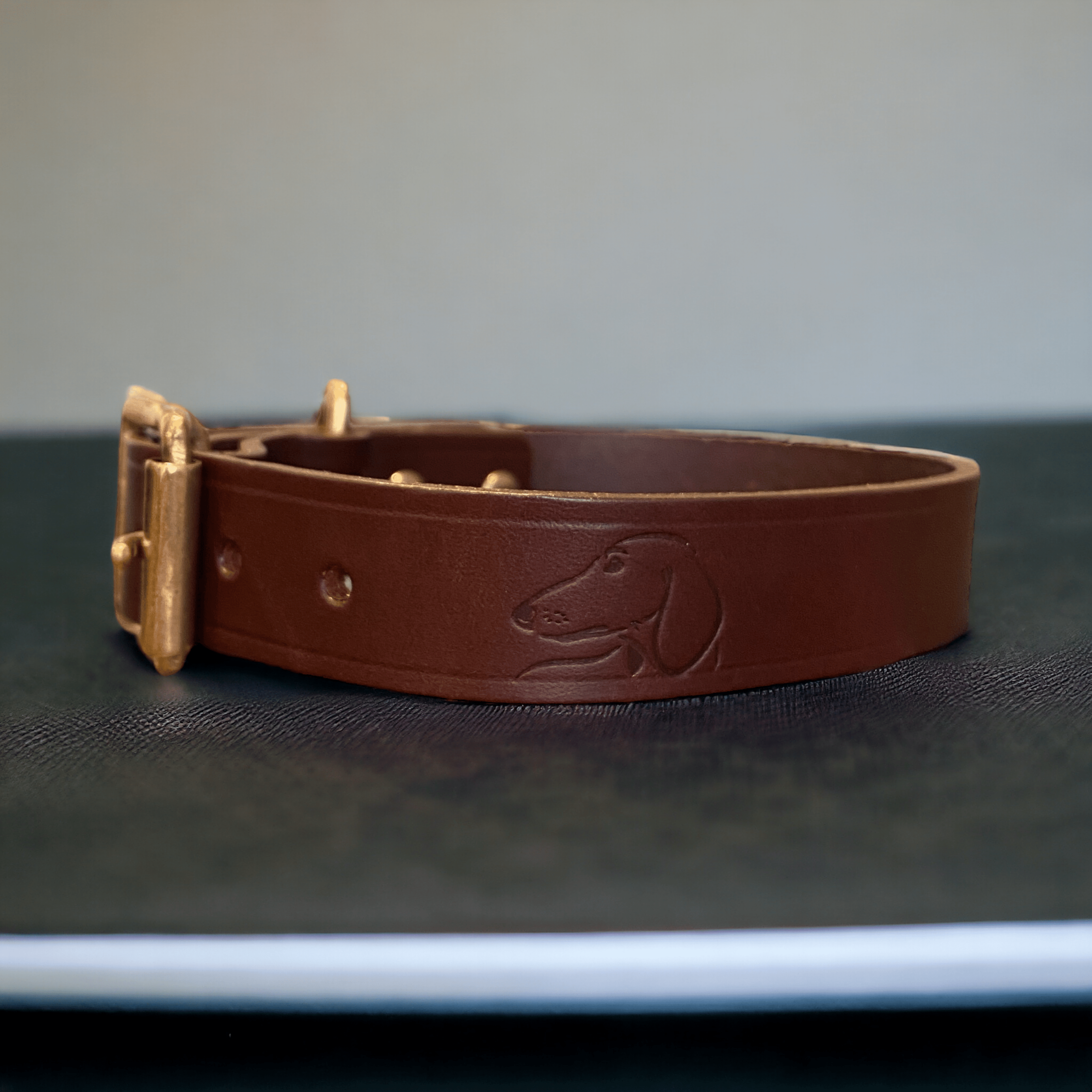 Luxury Classic Leather Dog Collar | Black or Chestnut Brown - Green Dog