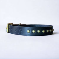 Studded Leather Dog Collar | Black or Chestnut Brown - Green Dog