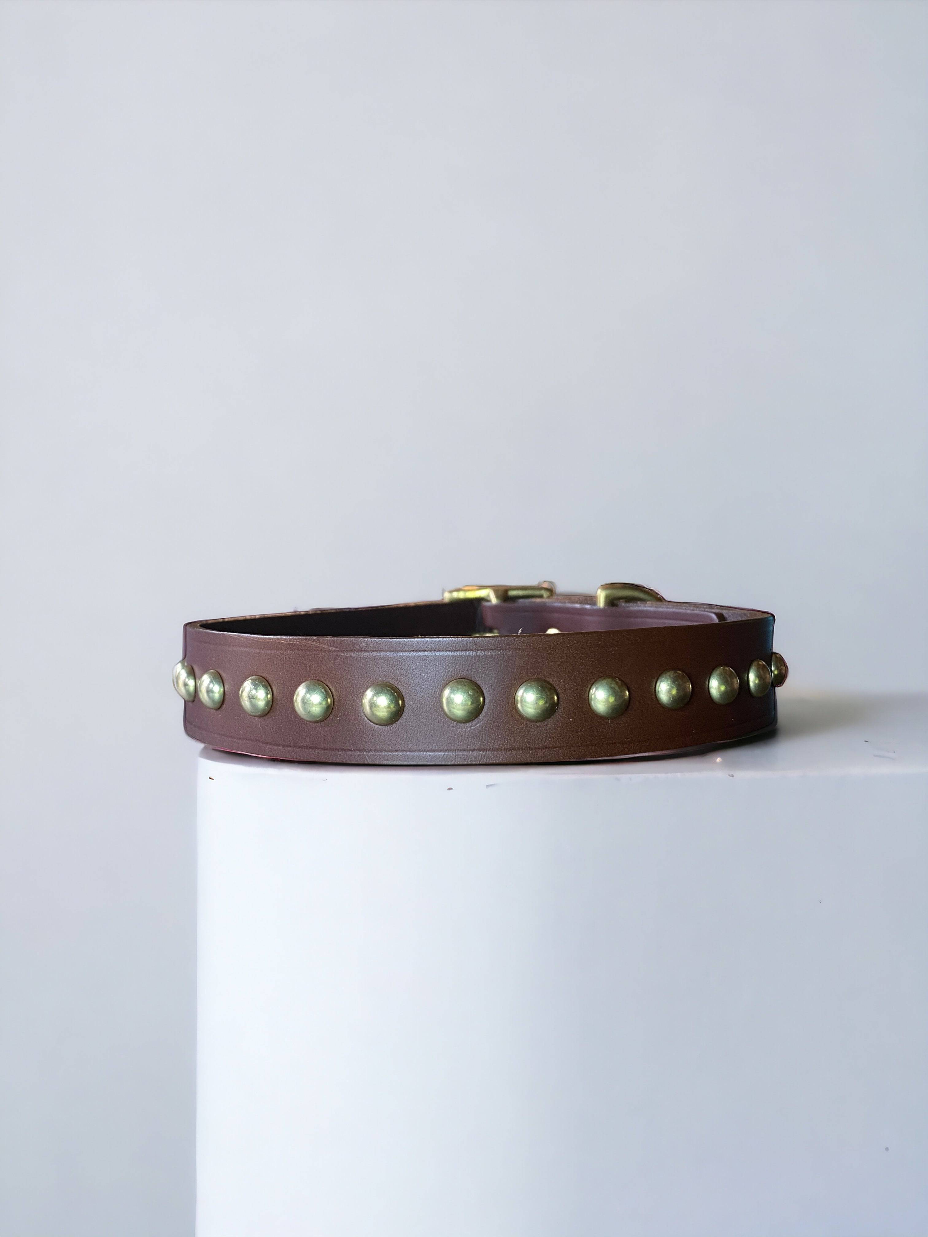 Studded Leather Dog Collar | Black or Chestnut Brown - Green Dog
