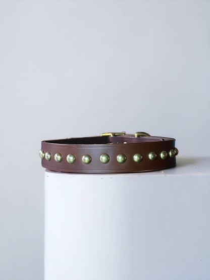 Studded Leather Dog Collar | Black or Chestnut Brown - Green Dog