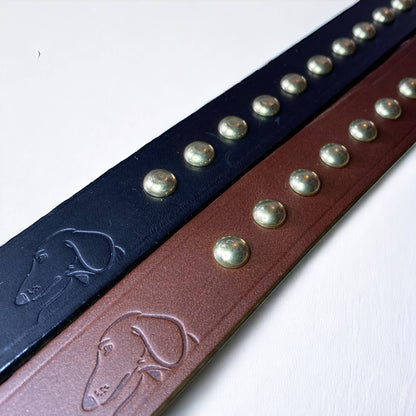 Studded Leather Dog Collar | Black or Chestnut Brown - Green Dog