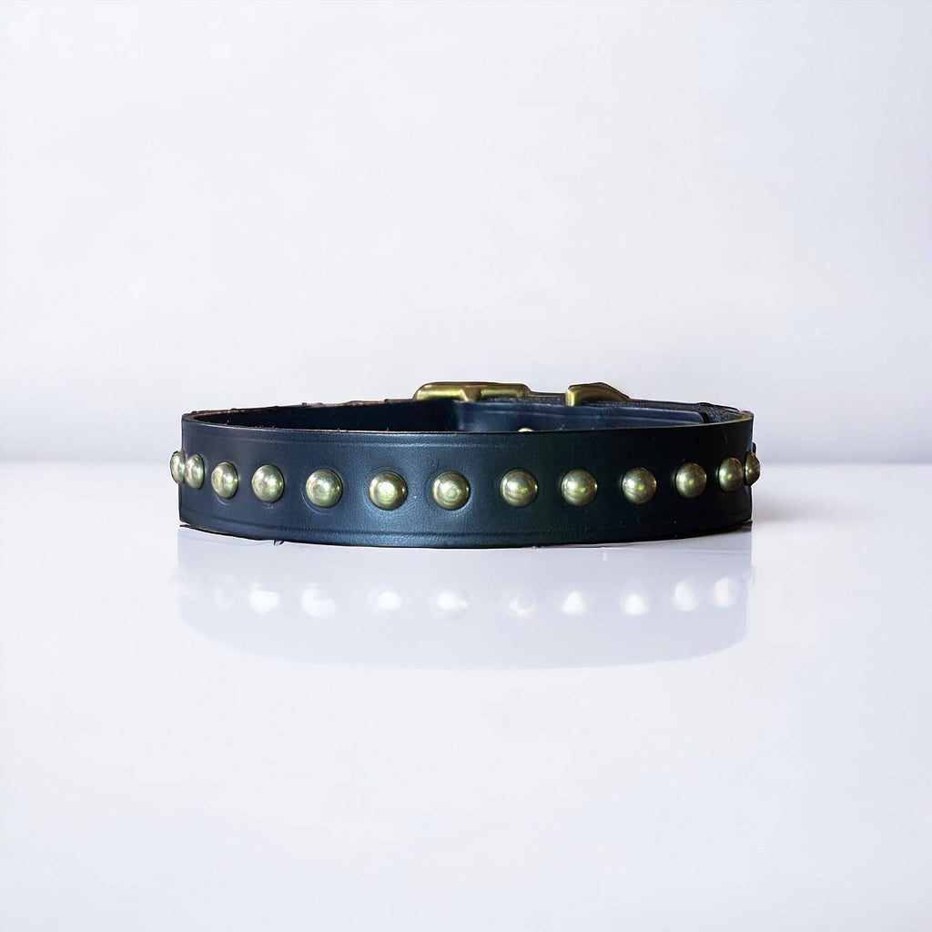 Studded Leather Dog Collar | Black or Chestnut Brown - Green Dog