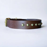 Studded Leather Dog Collar | Black or Chestnut Brown - Green Dog