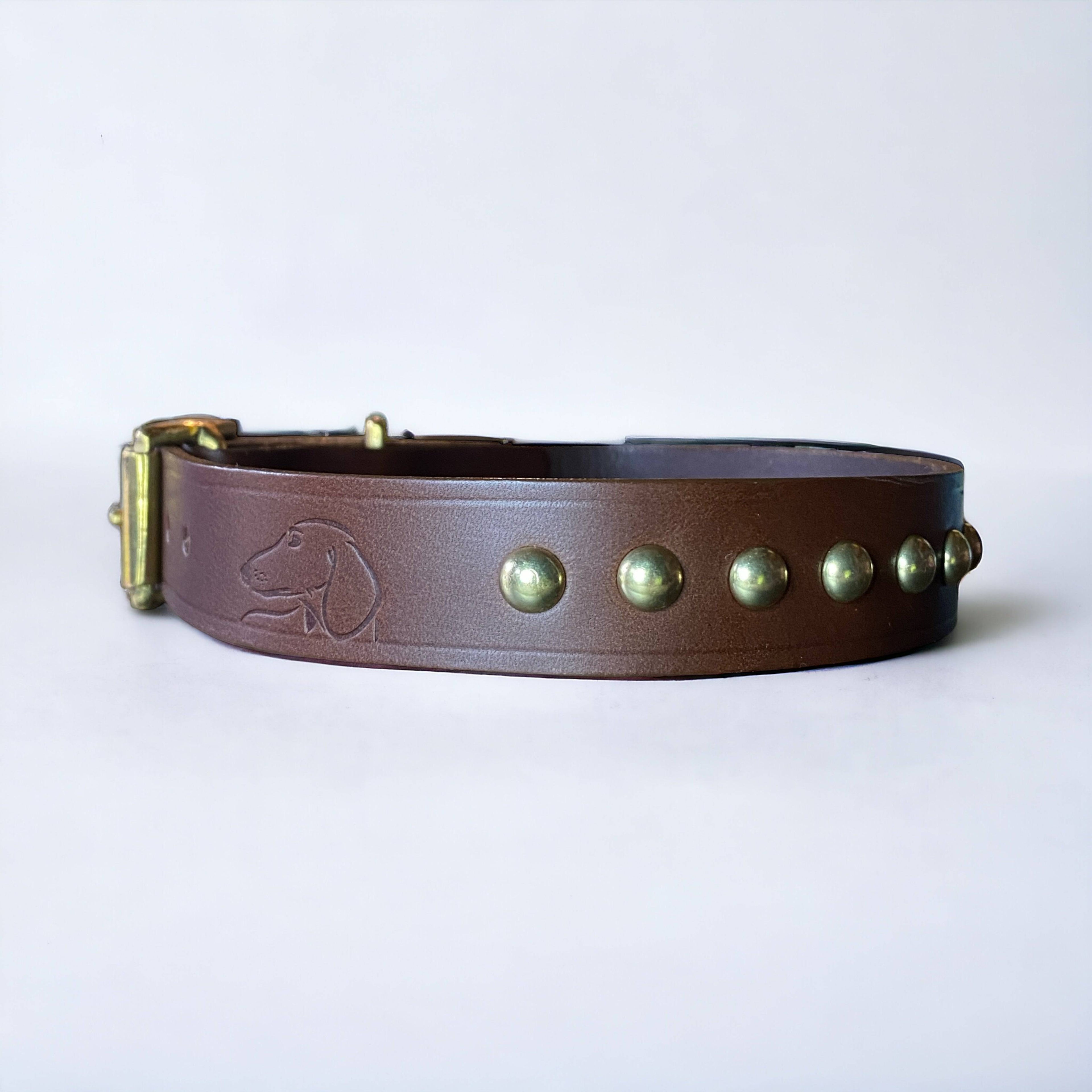 Studded Leather Dog Collar | Black or Chestnut Brown - Green Dog