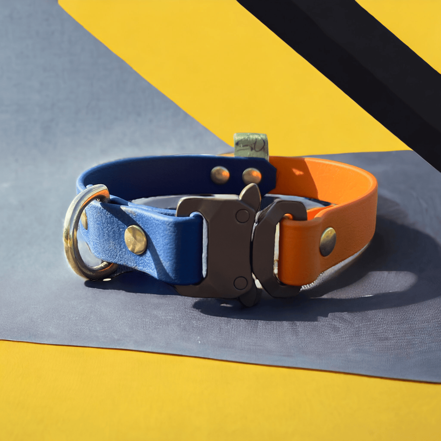 The Fixie BioThane® Dog Collar | Customisable