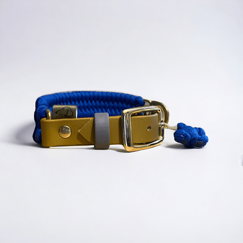 Adjustable Cord Dog Collar with BioThane Adapter - Monkey Blue