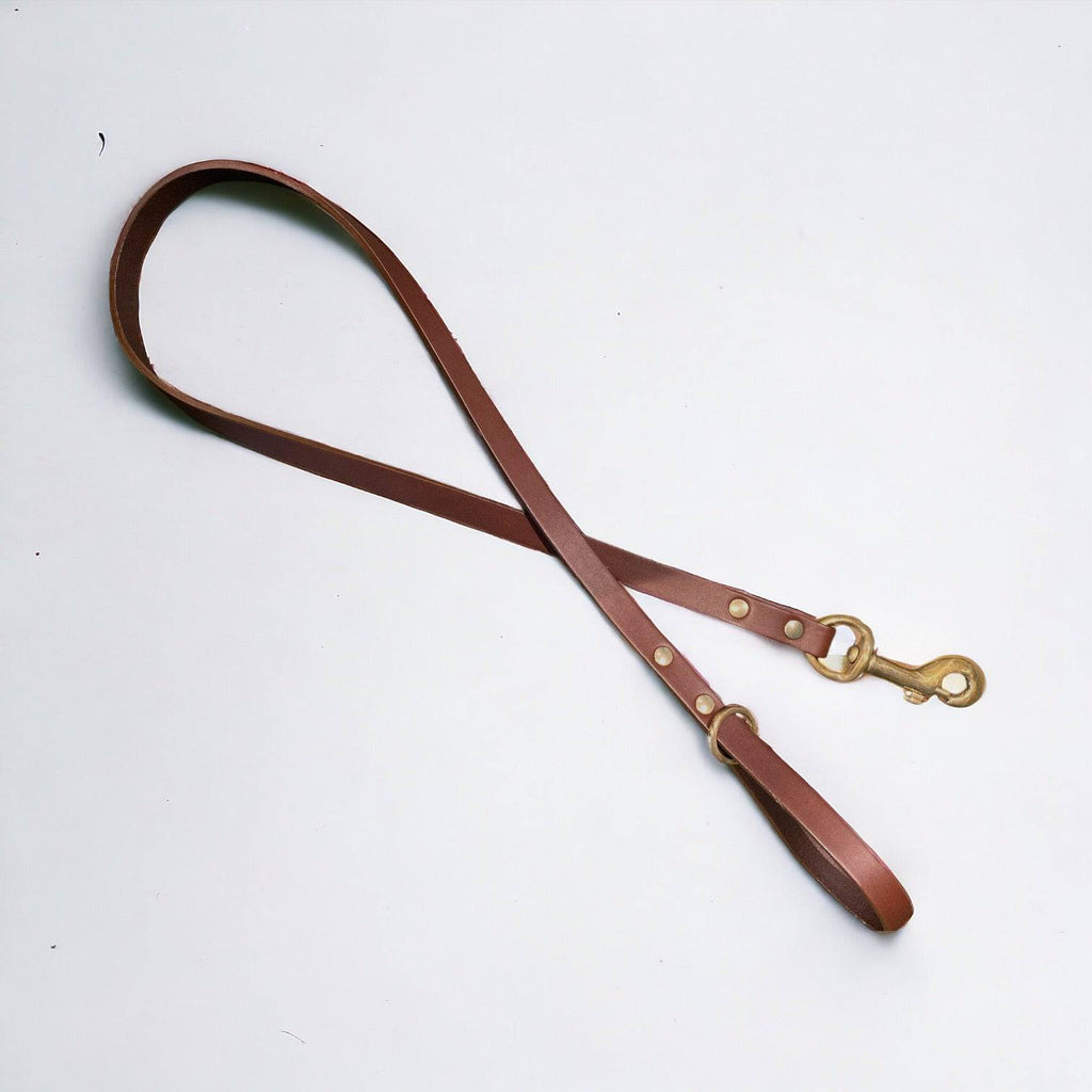 Classic Leather Dog Lead | Black or Chestnut Brown - Green Dog