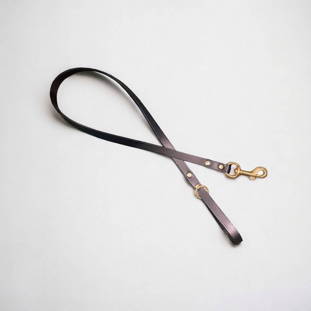 Classic Leather Dog Lead | Black or Chestnut Brown - Green Dog