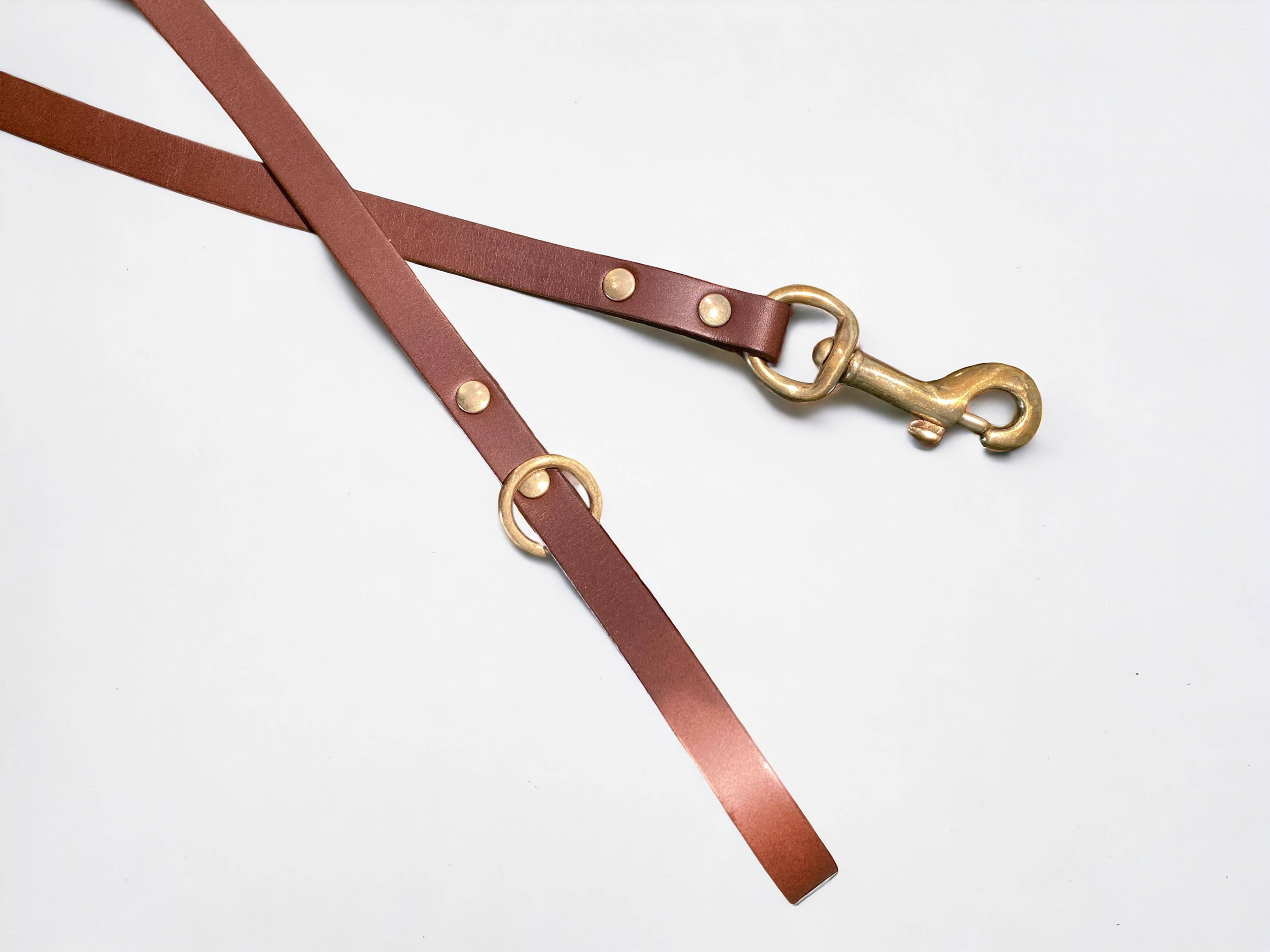 Classic Leather Dog Lead | Black or Chestnut Brown - Green Dog