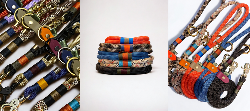 Greenwich Yarn Collection of customisable dog collars and leads in vibrant colours