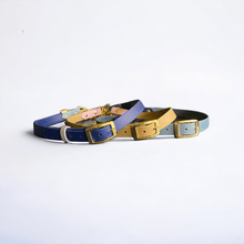 Half Check BioThane® Collar | Customisable - Green Dog
