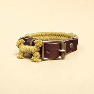 Harvest yellow handmade braided cotton rope dog collar with dark brown premium leather strap, antique silver buckle, brass D-ring and rope dog charm figure