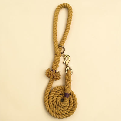 Harvest yellow handmade cotton rope dog lead coiled flat lay, with brass snap clip, brass O-ring, green dog charm tag and purple binding detail