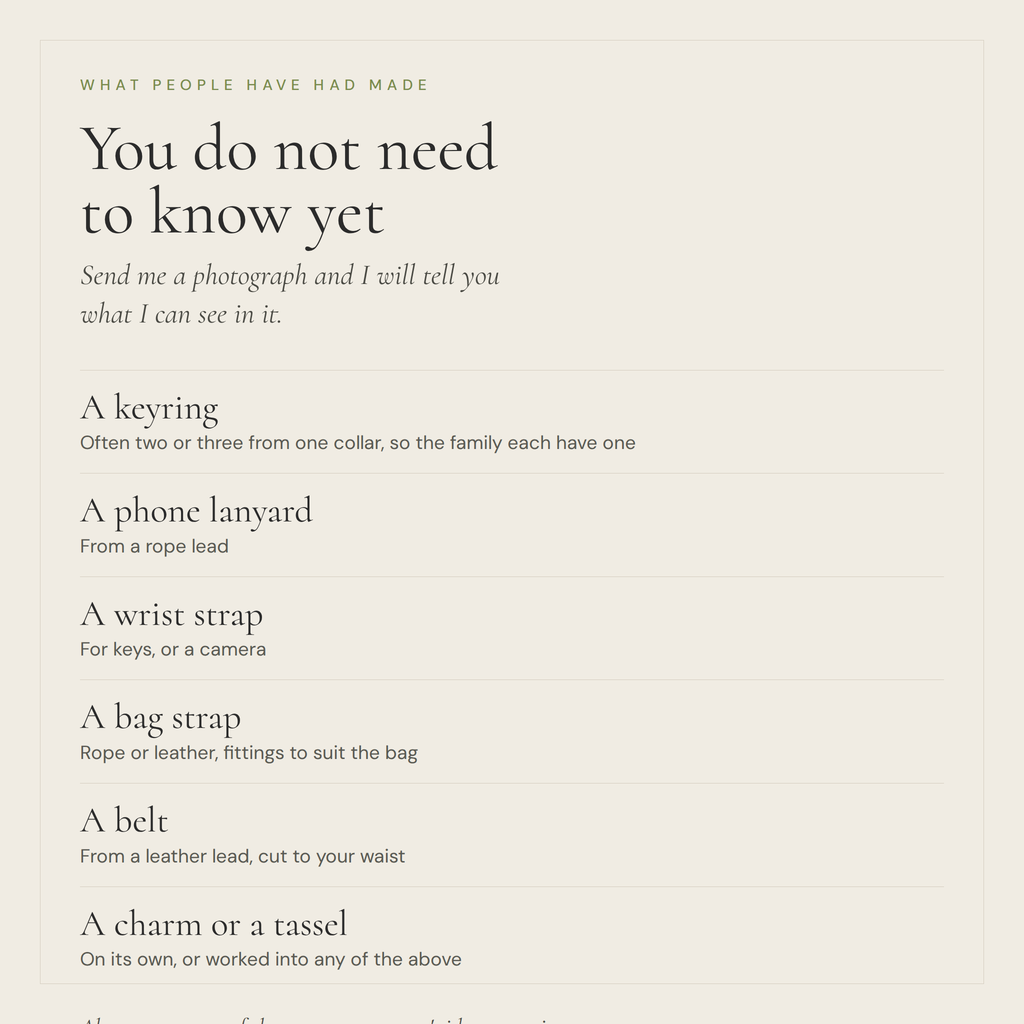 You do not need to know yet. Things people have had made from a dog's collar or lead: a keyring, a phone lanyard, a wrist strap, a bag strap, a belt, a charm or tassel