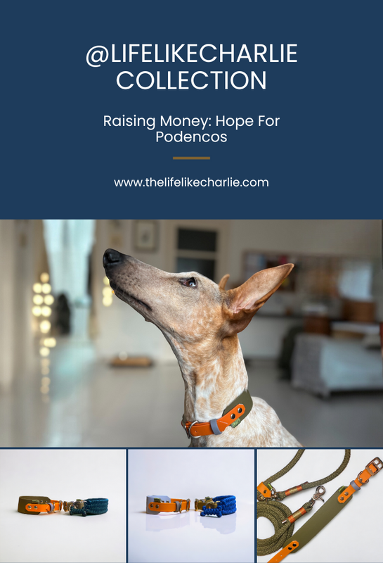 Life Like Charlie Collection mobile banner - dog collars and leads supporting Hope For Podencos charity