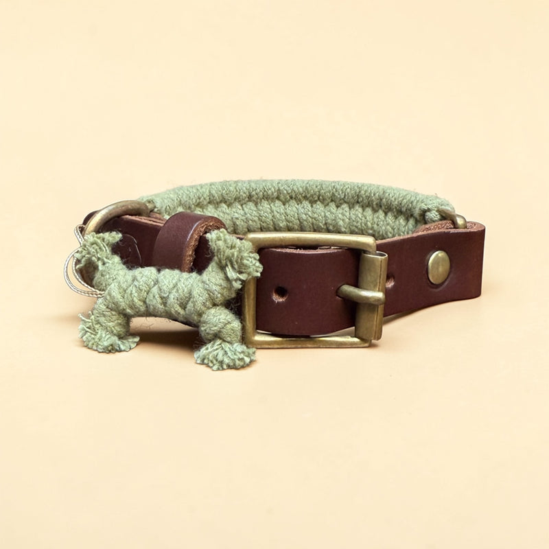 Olive green handmade braided cotton rope dog collar with dark brown premium leather strap, antique brass buckle, brass D-ring and rope dog charm figure