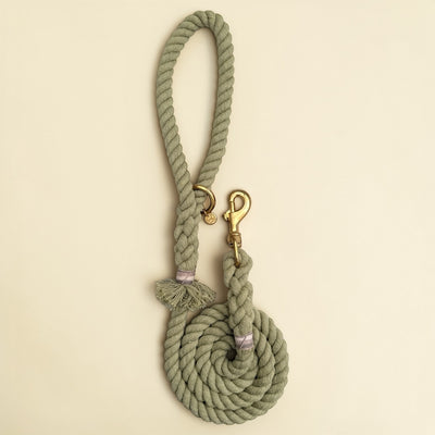 Olive green handmade cotton rope dog lead coiled flat lay, with solid brass snap clip, brass O-ring, Green Dog charm tag and lilac binding detail